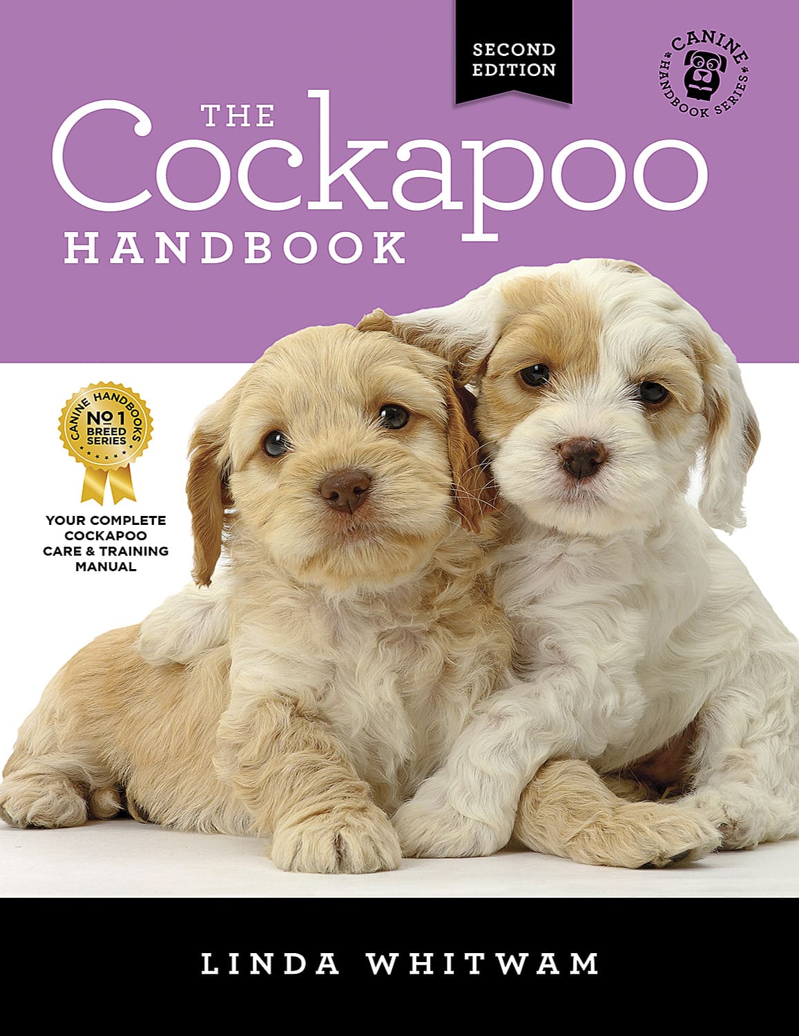 Cockapoo store recall training